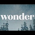 Wonder - Part 1